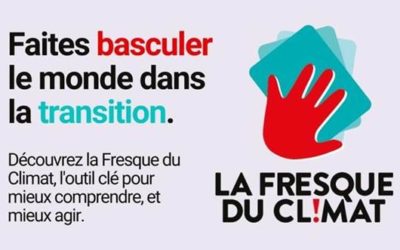 Fresque du Climat : 3 heures pour comprendre le changement climatique