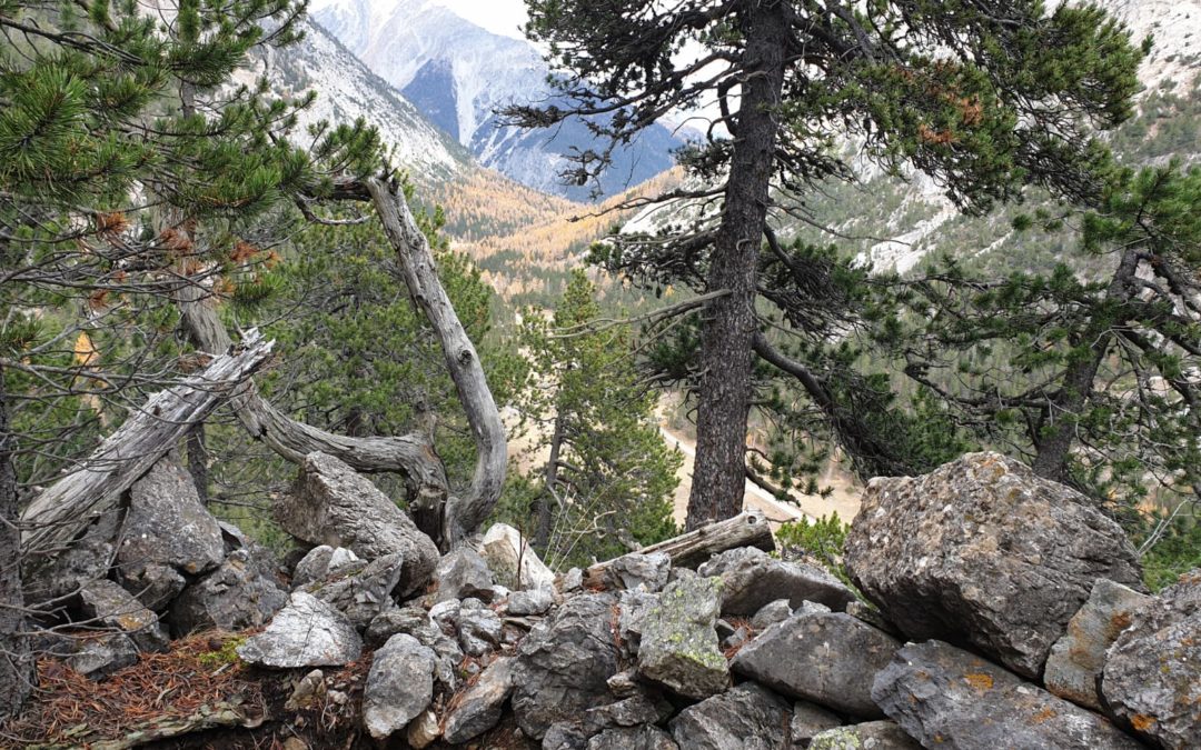 Bientôt une mise en valeur de la « Bataille des Alpes » au col de l’échelle