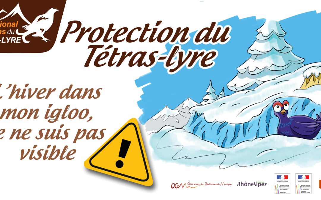 Café Nature sur le Tétras lyre et le site Natura 2000 « Clarée » le jeudi 15 février à 14h au refuge Buffère