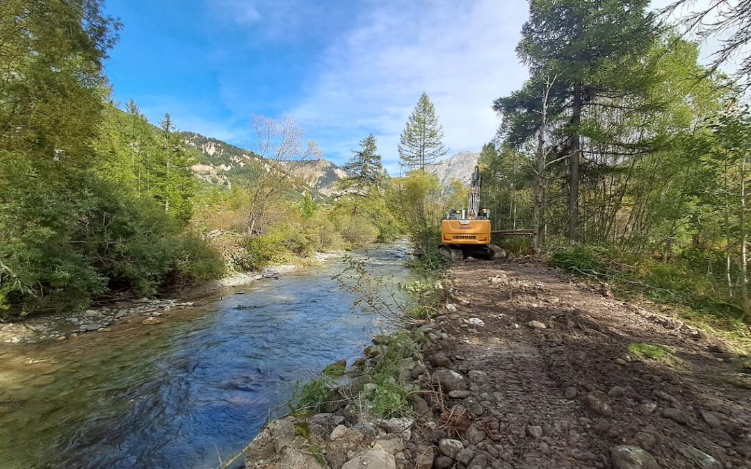 Travaux de la plaine alluviale – info travaux semaine 4