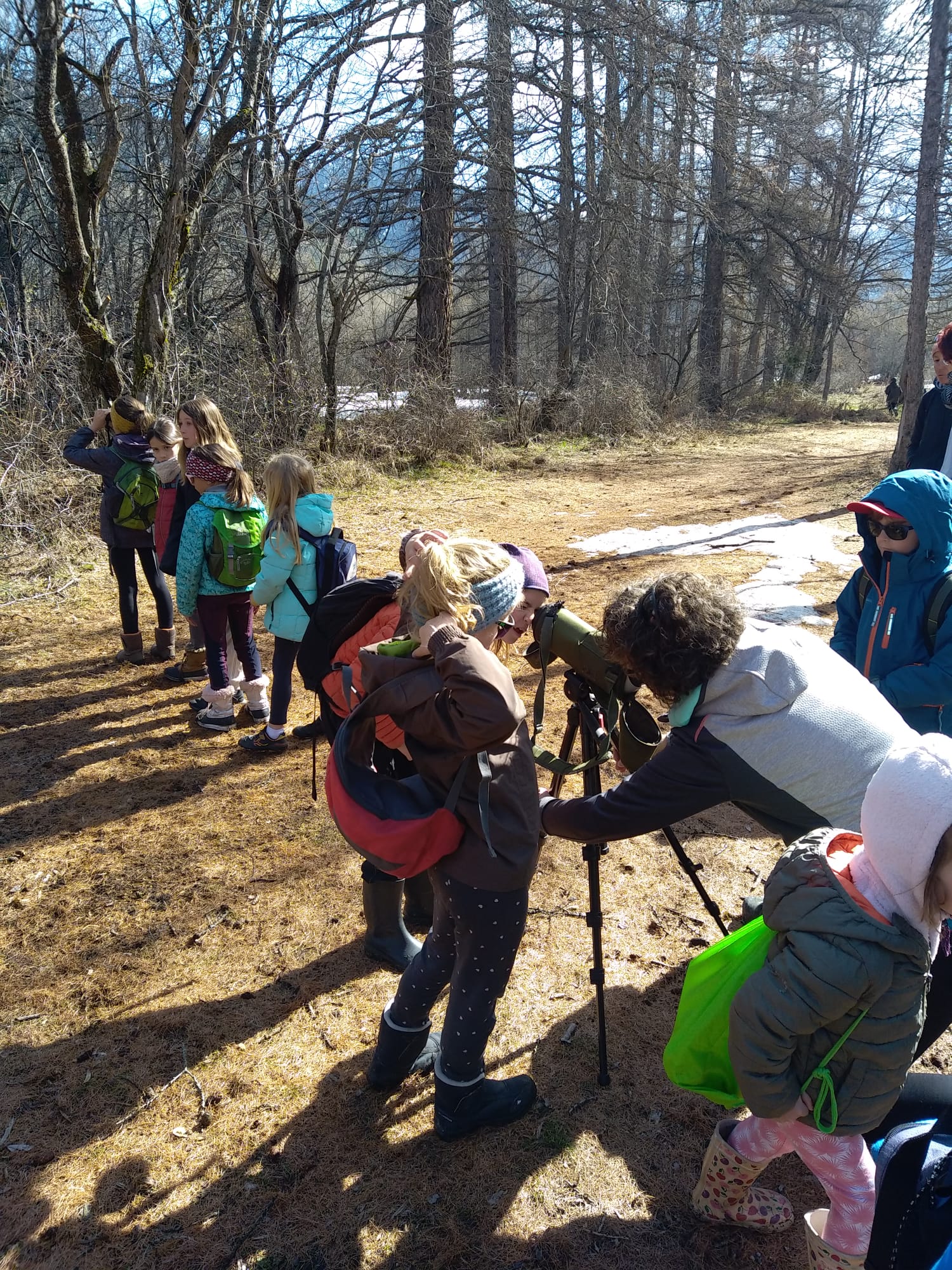 Observations des oiseaux