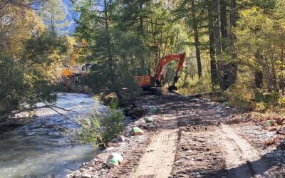 Campagne d’entretien de végétation dans les cours d’eau 2026