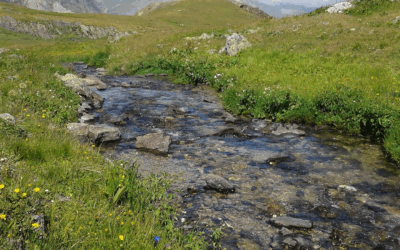 AVIS DE PARTICIPATION DU PUBLIC PAR VOIE ÉLECTRONIQUE PICO-CENTRALE DE BUFFÈRE
