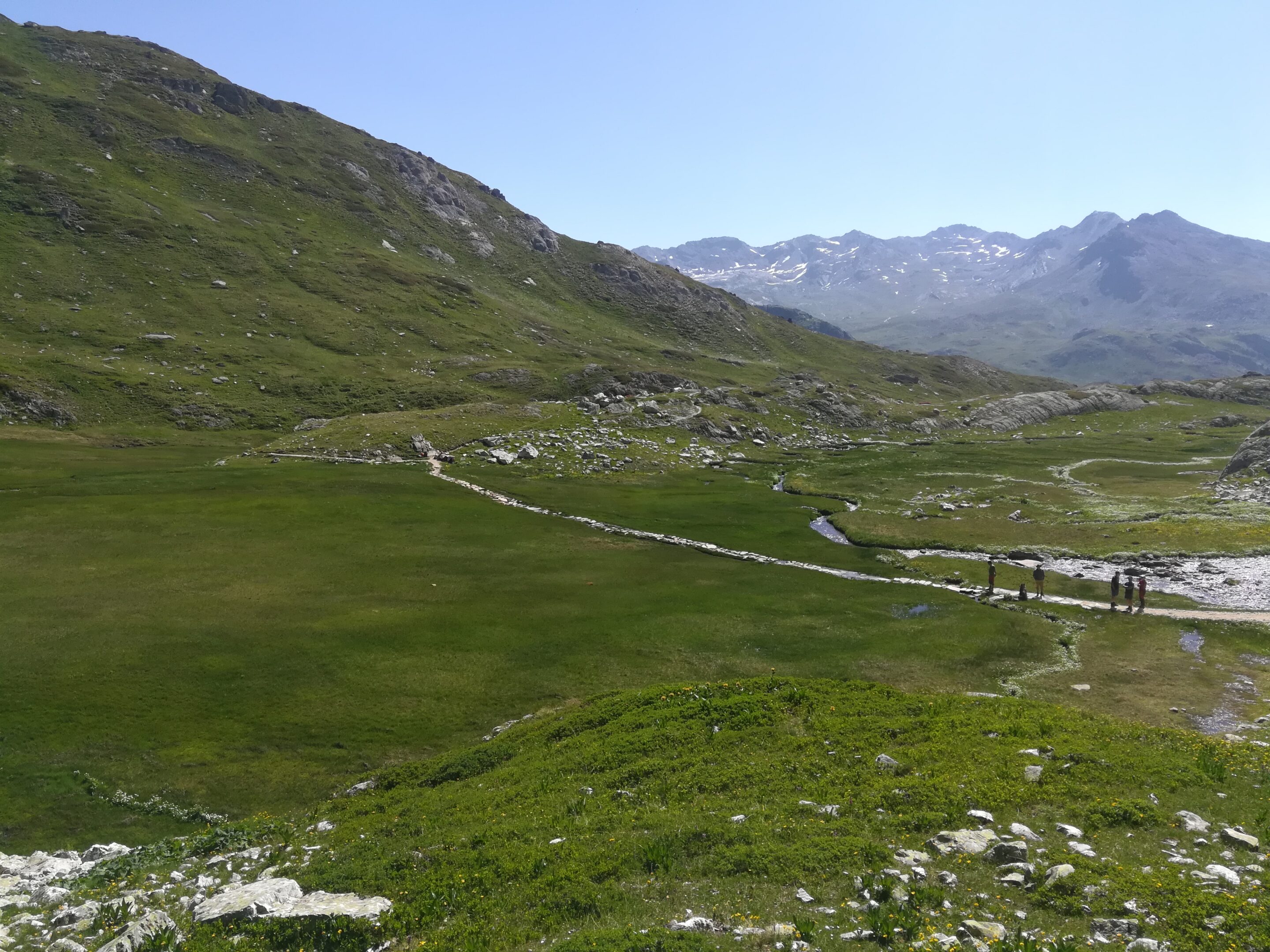 Zone humide traversée par le pavage des Rochilles