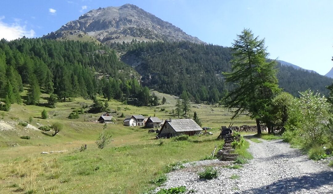 Présentation du projet hydroélectrique du torrent des Acles