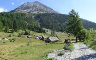 Présentation du projet hydroélectrique du torrent des Acles