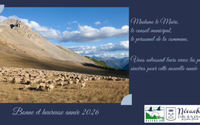 Cérémonie des voeux