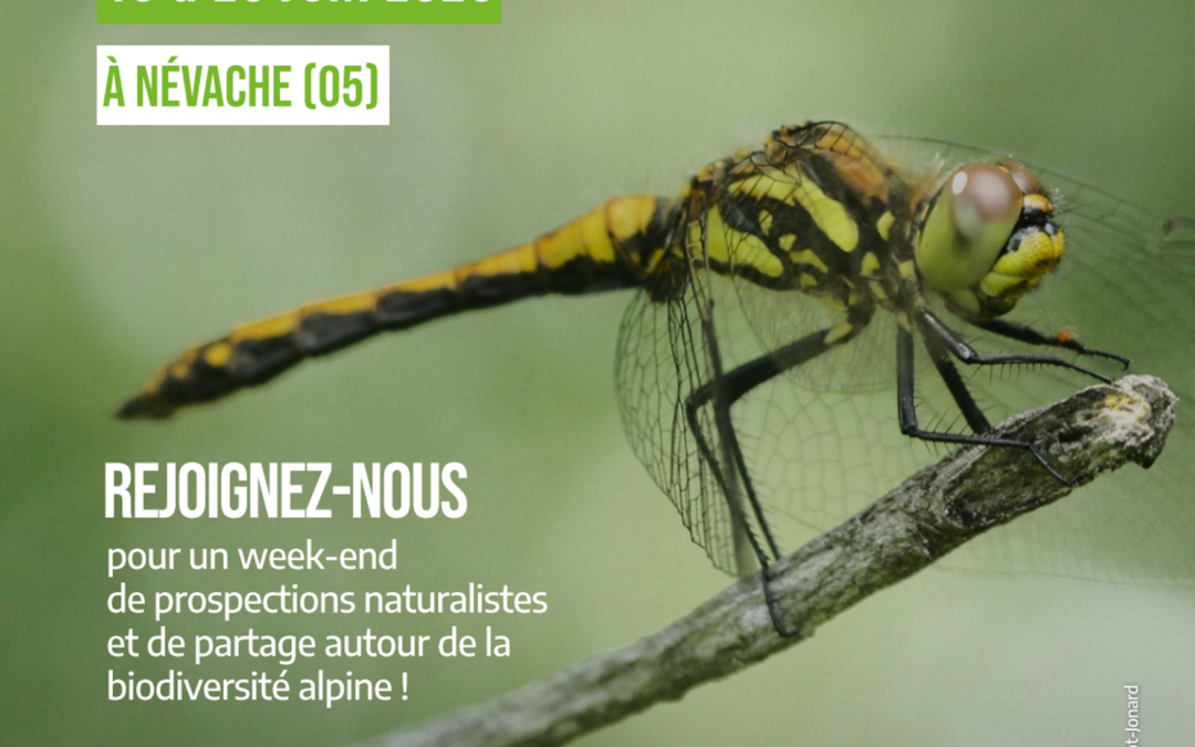 Prospections naturalistes ouvertes à tous les 19 et 20 juin 2026 pour les 48h de la biodiversité sur le site Natura 2000 « Clarée » !