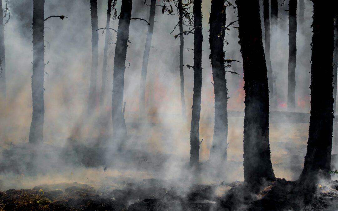 Emploi du feu – période rouge