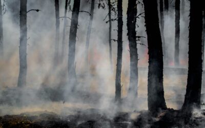 Emploi du feu – période rouge