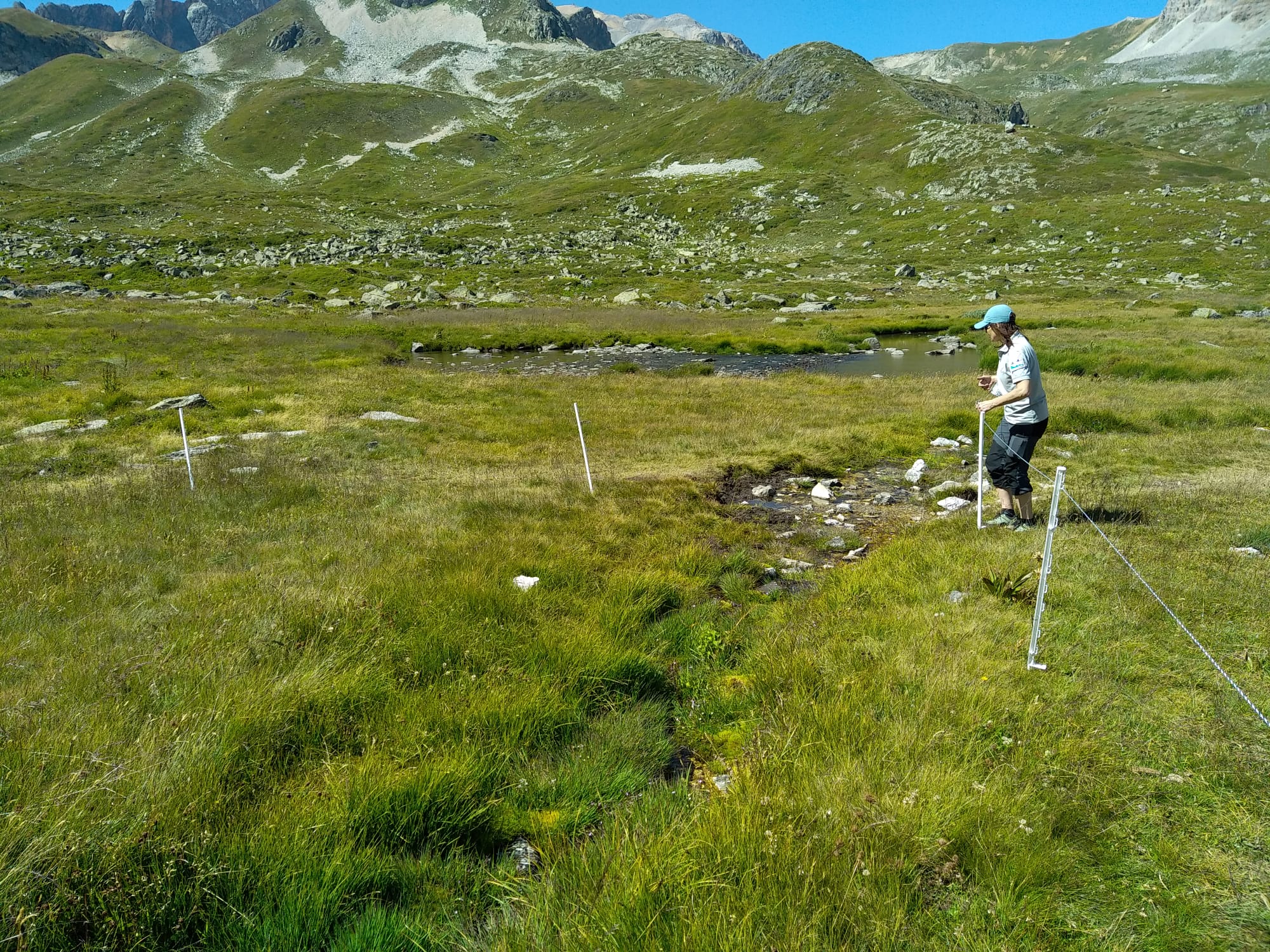 Clôture installée autour d'une zone humide