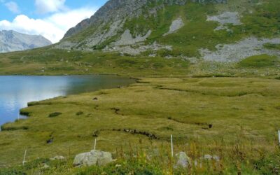 Appel à bénévoles le mardi 28 juillet pour l&rsquo;installation de mises en défens autour du lac Lavoir et ses zones humides en Vallée Etroite