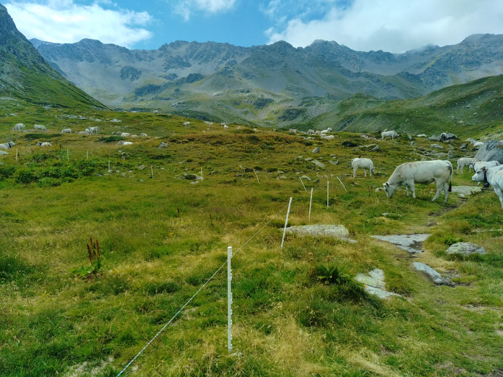 Préservation des zones humides en Vallée Etroite