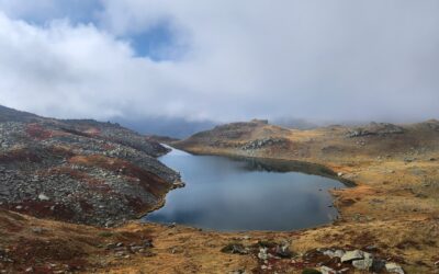 Le projet de préservation du lac Long démarre cet automne